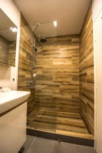 斯科普里La Vecchia Signora APARTMENT的带淋浴的浴室和木墙