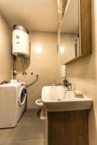 斯科普里La Vecchia Signora APARTMENT的一间带水槽和洗衣机的浴室