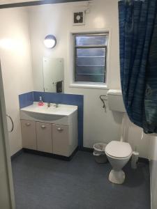 皇后镇Alpine Lodge Queenstown的一间带卫生间、水槽和镜子的浴室