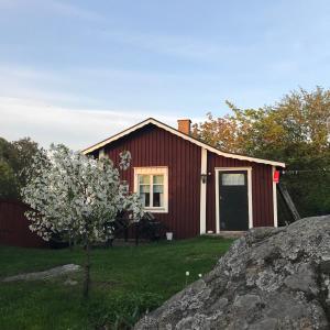 克里斯蒂娜城Citymökki的前面有一棵树的红色房子