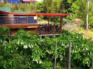 昆达桑山里度假村的山丘上白色花房