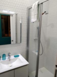 尼斯la terrasse的带淋浴和盥洗盆的浴室