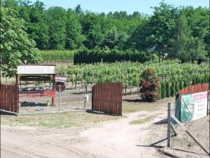 Pusztaszer内梅特农场小屋的农场,有栅栏和玉米地