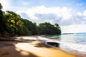 巴亚索拉诺Choibana Ecolodge的享有树木繁茂的海滩和大海的景致。