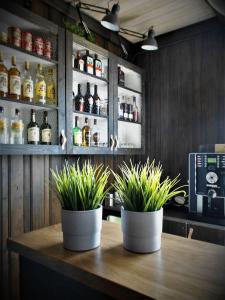 特吕西尔社龙特吕西尔酒店的木桌上带两盆植物的酒吧