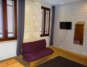 圣埃斯泰夫Au cœur des vignobles的客厅配有紫色沙发和电视