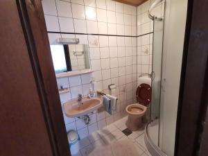 克拉列维察Guest House Dijana的一间带卫生间和水槽的浴室