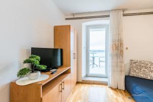 马林斯卡Apartments Vila DK的客厅配有木柜上的电视