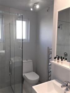 阿卡罗阿The Studio Akaroa的浴室配有卫生间、淋浴和盥洗盆。