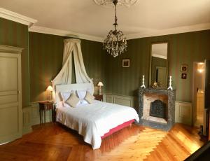 贝莱姆Château des Feugerets的一间卧室配有一张床、一个壁炉和一个吊灯。