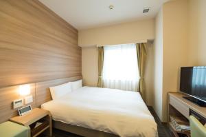 挂川市多美迎EXPRESS掛川酒店的酒店客房,配有床和电视