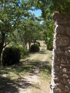 Agriturismo Il Palazzetto外面的花园