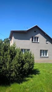 图尔诺夫Ohrazenice 103的两扇窗户的房子,前面有灌木丛