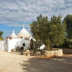 奥斯图尼Piccolo Trullo Ostunese Le Jardin de Sophie'的前面有一棵树的小白色教堂