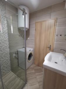 博维茨Apartma F&M的一间带洗衣机和水槽的浴室