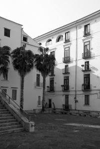 萨莱诺Palazzo Morese Apartments的一座白色的大建筑,前面有棕榈树