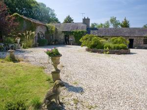 LlangristiolusOld Barns - Pentre Berw的狗站在房子的院子中