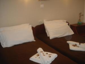 科林瓦里奥Iliaktida Apartments的一张带两个白色枕头的床和毛巾