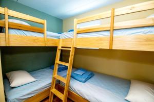 怀尔德伍德蓝色棕榈汽车旅馆的双层床间 - 带两张双层床