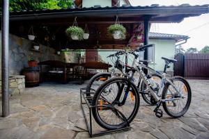 亚列姆切Synyogora的两辆自行车停在一个庭院,彼此相邻