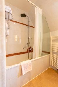 布鲁日The Black Swan Hotel的带淋浴和浴缸的浴室
