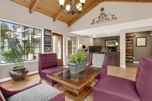 山景城华美达山景酒店的客厅配有紫色椅子和桌子