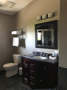 彭蒂克顿Wesbert Winery & Guest Suites的一间带水槽、卫生间和镜子的浴室