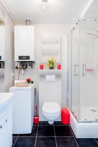 什切青Tulip-Apartments - Jagiellońska 24 poddasze bez windy的白色的浴室设有卫生间和淋浴。