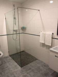 第聂伯罗motel-Yasniy的带淋浴的浴室和玻璃门