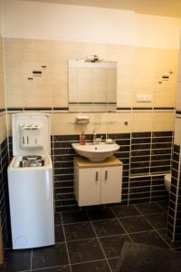 俄斯特拉发Apartment Poruba STREET VIEW的黑白浴室设有水槽和卫生间