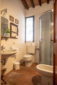 梅尔卡特勒瓦尔迪佩萨Il Fienile del Vichiaccio的浴室配有卫生间、盥洗盆和淋浴。
