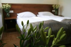 克拉科夫朱莉娅别墅酒店的前景卧室,带一张床和植物