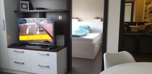 布达佩斯蓝球公寓的一间带电视和床的客厅