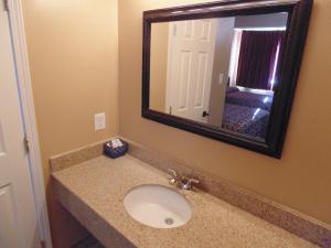 伯克利海滨酒店的一间带水槽和镜子的浴室
