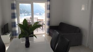 拉斯托伏Apartment Zaklopatica的客厅配有黑色沙发和植物