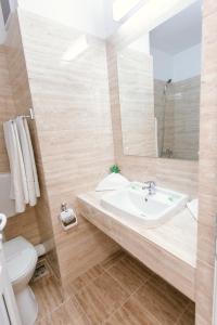 百乐费利克斯穆列什酒店的一间带水槽、卫生间和镜子的浴室