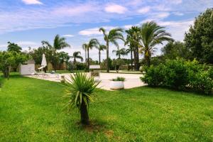 马蒂诺Dimora Capasi的绿色庭院中间的棕榈树