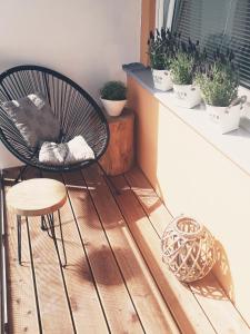 帕尔杜比采Apartmán Lucie的坐在种植了盆栽植物的阳台的椅子