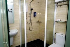 莎阿南阿拉米花园酒店的带淋浴和卫生间的浴室