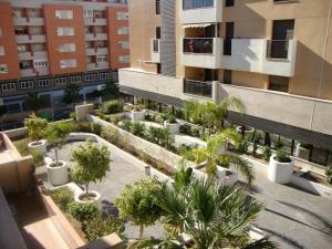 阿瓜杜尔塞Apartamento 2 hab.en El Parador的享有种有树木和植物的庭院的空中景致