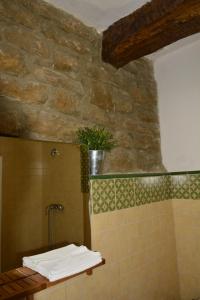La puebla de Labarca 坎德拉艾特克西亚乡村民宿的墙上植物淋浴的浴室