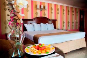 坎佩切殖民地广场酒店的酒店客房,配有一张床,桌子上放有水果盘