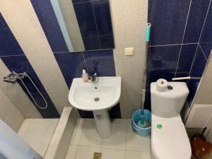 塞凡Lake Sevan Hostel的一间带卫生间和水槽的小浴室