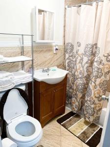 布鲁克林Rochester's Place的浴室配有卫生间、盥洗盆和淋浴。