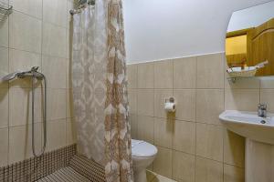 敖德萨Arnautskiy Hotel的带淋浴、卫生间和盥洗盆的浴室