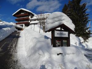 希洛谢克Der Berghof的一座被雪覆盖的建筑,靠近公路