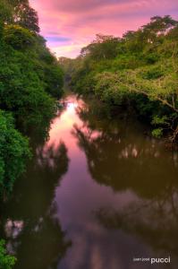 萨拉皮基La Selva Biological Station的享有树木和日落的河流美景