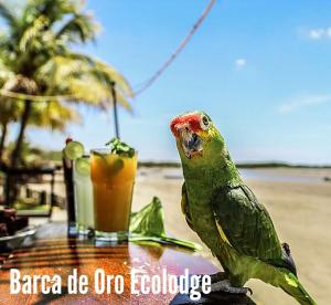 拉斯彭尼塔斯Hotel Restaurante Spa La Barca de Oro的一只绿色鹦鹉站在桌子上喝一杯