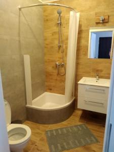 格丁尼亚Apartament Be Happy Nr 2的带淋浴、卫生间和盥洗盆的浴室