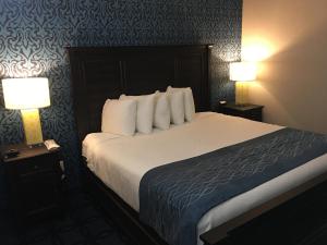 汉尼拔Riverside inn hannibal的酒店客房设有一张大床和两盏灯